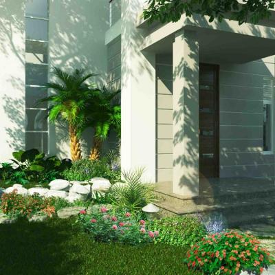 Green Garden Corner In The Apartment